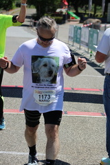 IMG 7919