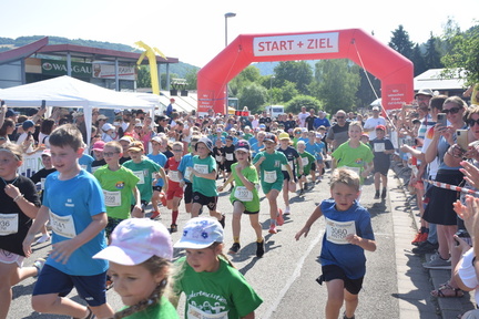Draisinenlauf 26 0114